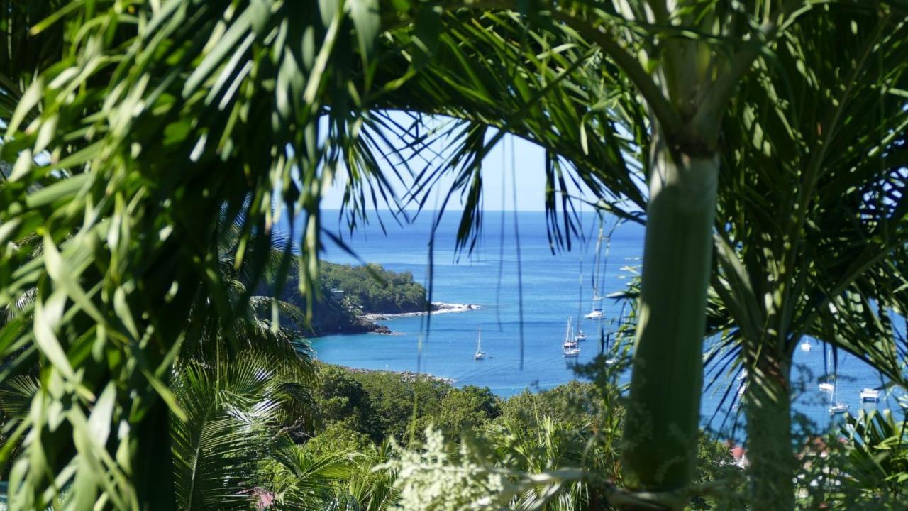 O Coeur De Deshaies Appartements Grande Anse Et Amandiers Exteriör bild